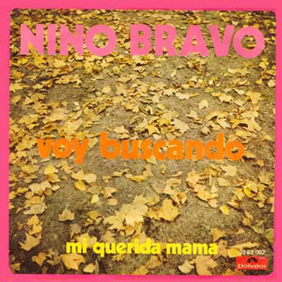 Voy buscando - Mi querida mam